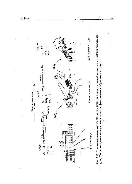 Рнс. 2.10. Средние концентрации N0, N02 и О в больших городах, сельской местности я в районах чистого воздуха. После выпадения оксидов азота остается фотохимически образованный озон.
