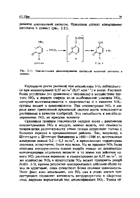 Окислительно« дезаминирование азотистой кислотой цитозина в урацил.