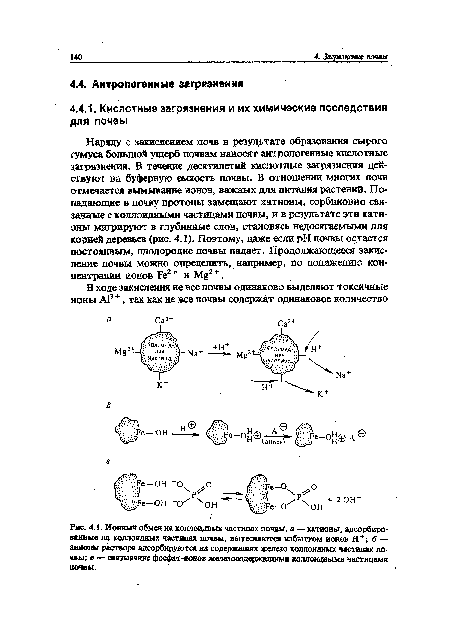 Ионный обмен на коллоидных частицах почвы, а — катионы, адсорбированные на коллоидных частицах почвы, вытесняются избытком ионов Н + ; б — анионы раствора адсорбируются на содержащих железо коллоидных частицах почвы; в — связывание фосфат-ионов железосодержащими коллоидными частицами