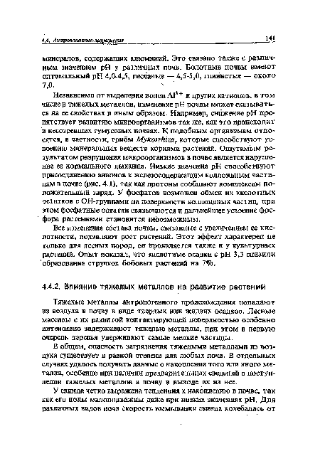 Все изменения состава почвы, связанные с увеличением ее кислотности, подавляют рост растений. Этот эффект характерен не только для лесных пород, он проявляется также и у культурных растений. Опыт показал, что кислотные осадки с pH 3,3 снизили образование стручков бобовых растений на 7%.