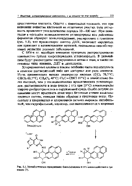 Метаболическое превращение бензо[а]пирена и его взаимодействие с гуанином [7].