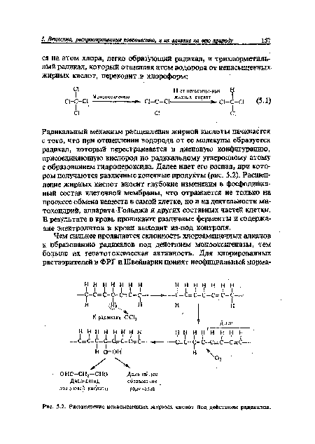Расщепление ненасыщенных жирных кислот под действием радикалов.