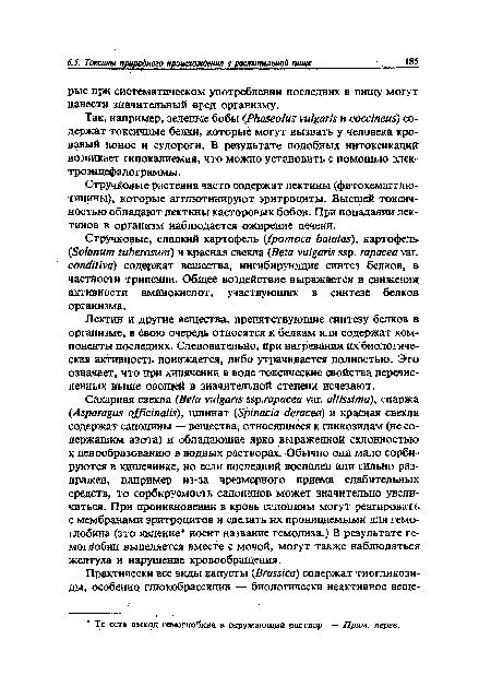 Так, например, зеленые бобы (Phaseolus vulgaris и coccineus) содержат токсичные белки, которые могут вызвать у человека кровавый понос и судороги. В результате подобных интоксикаций возникает гипокалиемия, что можно установить с помощью электроэнцефалограммы .