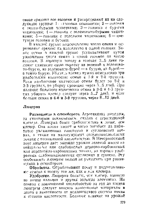 Размещение в севообороте. Агротехника люцерны, за некоторым исключением, сходна с агротехникой клевера. Люцерна более требовательна к почве, чем клевер. Она плохо растет и часто погибает на избыточно увлажненных глинистых и суглинистых почвах, а также на малогумусных сильнооподзоленных почвах с повышенной кислотностью. В Нечерноземной зоне люцерна дает высокие урожаи зеленой массы на нейтральных или слабокислых дерново-карбонатных или перегнойно-карбонатных почвах, на хорошо удобренных слабооподзоленных суглинках и супесях. Эту особенность люцерны нельзя не учитывать при размещении в севообороте.