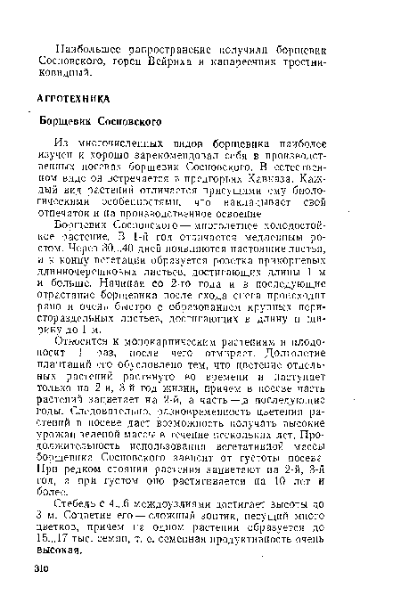 Борщевик Сосновского — многолетнее холодостойкое растение. В 1-й год отличается медленным ростом. Через 30...40 дней появляются настоящие листья, и к концу вегетации образуется розетка прикорневых длинночерешковых листьев, достигающих длины 1 м и больше. Начиная со 2-го года и в последующие отрастание борщевика после схода снега происходит рано и очень быстро с образованием крупных перистораздельных листьев, достигающих в длину и ширину до 1 м.