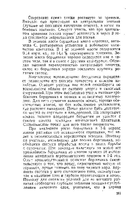 Многолетнее использование борщевика определяет размещение его посевов конкретно в каждом хозяйстве. Отводят участки вне полей севооборота по возможности вблизи от скотных дворов и силосных сооружений. При этом необходимо учесть высокие требования борщевика к почвам и почвенному плодородию. Для него лучшими являются почвы, хорошо обеспеченные влагой, но без избыточного увлажнения, где растения выпадают. Почва должна быть достаточно чистой от сорняков и плодородной. На засоренных почвах низкого плодородия борщевик не удается с самого начала закладки многолетней плантации. Сильнокислые почвы для него также непригодны.