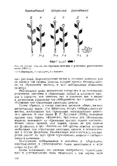Схема образования гормонов цветелия у различпых растительных видов (1958 г.)