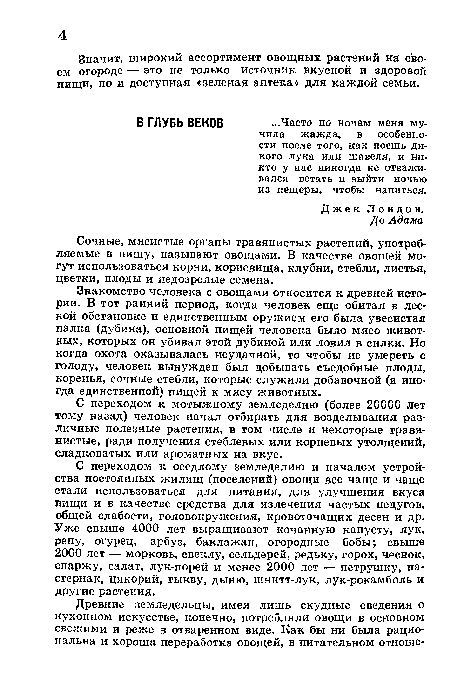 С переходом к оседлому земледелию и началом устройства постоянных жилищ (поселений) овощи все чаще и чаще стали использоваться для питания, для улучшения вкуса пищи и в качестве средства для излечения частых недугов, общей слабости, головокружения, кровоточащих десен и др. Уже свыше 4000 лет выращивают кочанную капусту, лук, репу, огурец, арбуз, баклажан, огородные бобы; свыше 2000 лет — морковь, свеклу, сельдерей, редьку, горох, чеснок, спаржу, салат, лук-порей и менее 2000 лет — петрушку, пастернак, цикорий, тыкву, дыню, шнитт-лук, лук-рокамболь и другие растения.