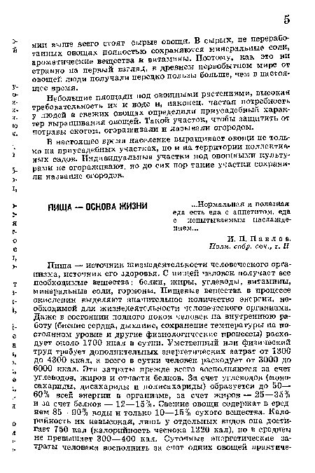 Небольшие площади под овощными растениями, высокая требовательность их к воде и, наконец, частая потребность у людей в свежих овощах определили приусадебный характер выращивания овощей. Такой участок, чтобы защитить от потравы скотом, огораживали и называли огородом.