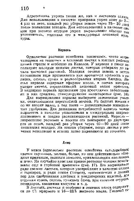 Агротехника укропа такая же, как и листового салата Для использования в качестве приправы укроп сеют до з 4 раз за лето, каждый раз убирая зелень через 25—30 дНе после появления всходов. Для использования в качестве специи при засолке огурцов укроп выращивают обычно как уплотнитель, подсевая его в междурядья основной куль-туры.