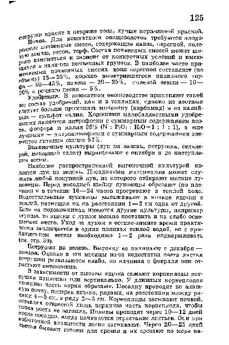 Наиболее распространенной выгоночной культурой является лук на зелень. Посадочным материалом может служить любой покупной лук, из которого отбирают мелкие луковицы. Перед посадкой шейку луковицы обрезают (по плечико) и в течение 16—24 часов прогревают в теплой воде. Подготовленные луковицы высаживают в низкие ящики с землей, размещая их на расстоянии 1 — 2 см одна от другой. Если на подоконниках имеются другие культуры, например огурцы, то ящики с луком можно поставить и на слабо освещенное место. Уход за луком в осенне-зимнее время практически заключается в одних поливах теплой водой, но с приближением весны необходимо 1—2 раза подкармливать (см. стр. 59).