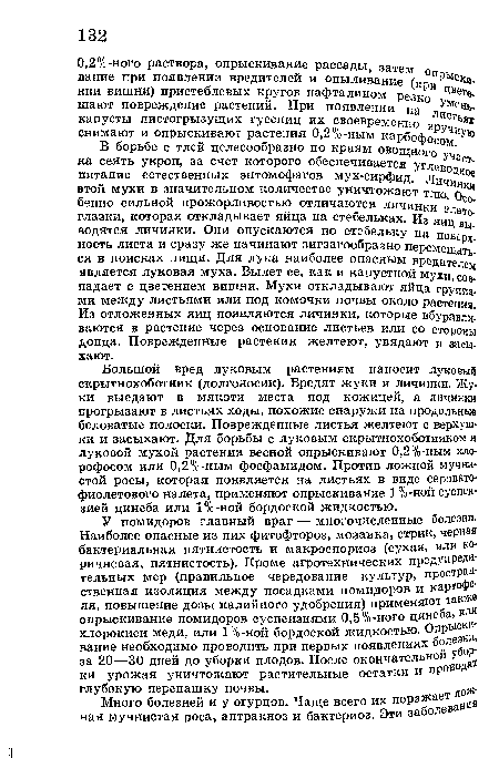 Большой вред луковым растениям наносит луковый скрытнохоботник (долгоносик). Вредят жуки и личинки. Жуки выедают в мякоти места под кожицей, а личинки прогрызают в листьях ходы, похожие снаружи на продольные беловатые полоски. Поврежденные листья желтеют с верхушки и засыхают. Для борьбы с луковым скрытнохоботником и луковой мухой растения весной опрыскивают 0,2%-ным хлорофосом или 0,2%-ным фосфамидом. Против ложной мучнистой росы, которая появляется на листьях в виде сероватофиолетового налета, применяют опрыскивание 1%-ной суспензией цинеба или 1°/о-ной бордоской жидкостью.