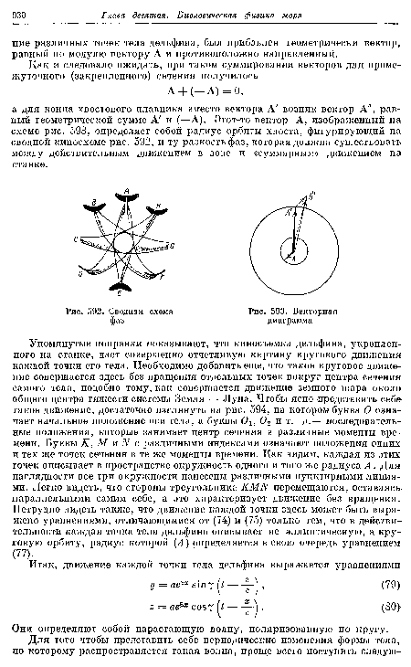 Сводная схема фаз