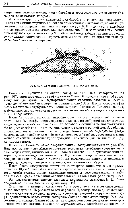 Крепление прибора на спине дельфина