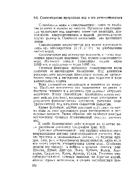 К особо благоприятно действующим на качество воды растениям относятся следующие (рис. 9.2).