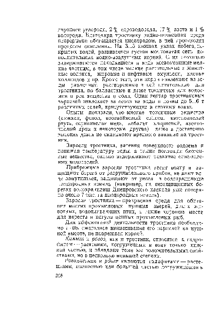 Опыты показали, что многие токсичные вещества (аммиак, фенол, азотнокислый свинец, азотнокислая ртуть, сернокислая медь, кобальт хлористый, азотнокислый хром и некоторые другие) даже в достаточно высоких дозах не оказывают вредного влияния на тростник.