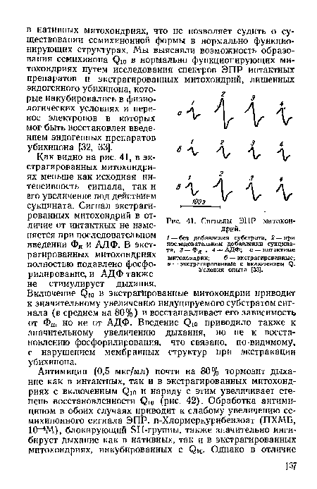 Сигналы ЭПР митохондрий.