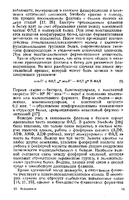 Важную роль в связывании флавина с белком играет адениловая часть молекулы ФАД. В работе 5 уоЬос1а [28] было показано, что только такие вещества, в составе которых имеются аденин, рибоза и фосфорная кислота (АДФ, АТФ, АМФ, АДФ-рибоза), могут конкурировать с ФАД за место на белке. Важны все три части. Замена аденина на любое другое основание, удаление фосфорной кислоты или рибозы и фосфорной кислоты полностью лишает соединение возможности взаимодействовать с белком. Наиболее важной считается связь между фосфорной кислотой, которая содержит отрицательно заряженные группы, и положительными группами белка. Видимо, разрыв этой связи в кислой среде и способствует диссоциации флавина.