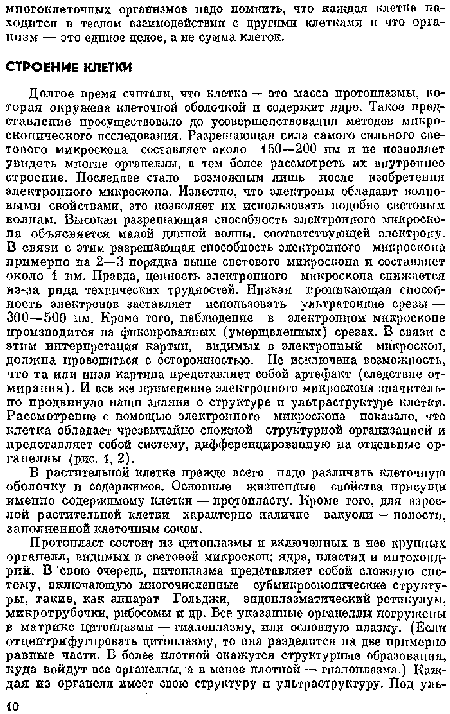 В растительной клетке прежде всего падо различать клеточную оболочку и содержимое. Основные жизпенпые свойства присущи именно содержимому клетки — протопласту. Кроме того, для взрослой растительной клетки характерно наличие вакуоли — полости, заполпенпой клеточным соком.