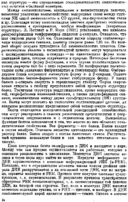 Белки отличаются исключительной реакционной способностью, оси могут реагировать с самыми различными органическими и неорганическим соединениями и с отдельными ионами. Важнейшая функция белков заключается в том, что многие из них обладают каталитическими свойствами. Все ферменты — это белки. Велки входят в состав мембран. Основное вещество цитоплазмы — это коллоидный раствор белка. Белки входят в состав клеточных стенок. Растительный организм использует белки и как запасное питательное вещество.