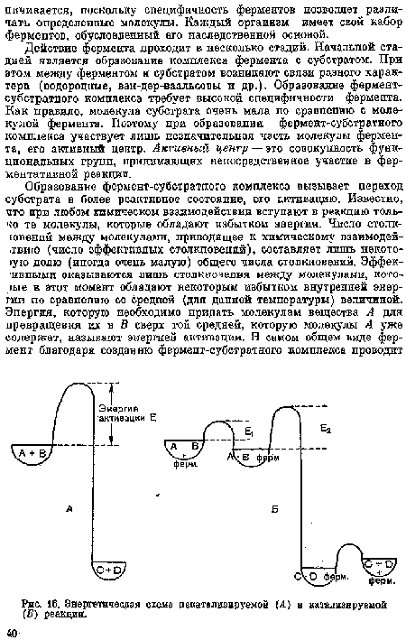 Энергетическая схема зекаталиаируемой (А) в катализируемой (Б) реакции.