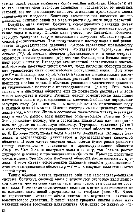 Сосущая сила клетки. Величина осмотического давления имеет большое значение для определения силы, которая вызывает поступление воды в клетку. Одпако надо учесть, что клеточная оболочка, свободно пропуская воду и питательные вещества, обладает ограниченной растнжимостью. При поступлении в клетку воды в ней развивается гидростатическое давление, которое заставляет плазмалемму прижиматься к клеточной оболочке. Его называют тургорным давлением (Т). Клеточная оболочка растягивается и, в свою очередь, оказывает нротиводавлеиие (гг?); оно тем больше, чем больше поступает воды в клетку. Благодаря ограниченной растяжимости клеточной оболочки наступает такой момент, когда давление оболочки целиком уравновесит силу осмотического поступления воды. При этом p =T = w. Насыщеппая водой клетка находится в максимально растянутом состоянии. Одпако у наземных растений такое состояние насыщенности крайне редко. В обычных условиях осмотическое давление не уравновешено полностью противодавлением (р>ы>). Это показывает, что клеточная оболочка еще пе полпостыо растянута и вода может поступать в плетку. Рязнпца между осмотическим давлением клеточного сока и противодавлением клеточной оболочки определяет сосущую силу (5) — это сила, с которой клетка притягивает воду в каждый данный момент. Имепио сосущая сила определяет поступление воды в клетку. Лишь в состоянии плазмолиза клетка всасывает воду с силой, равпой всей величине осмотического давления S = p. Это происходит потому, что в состоянии плазмолиза или завядапия вода не давит на клеточную оболочку. Тургорпое давление (Т) =0 и соответствующее противодавление клеточной оболочки также равно 0. По мере поступления воды в клетку появляется тургорпое давление, а следовательно, развивается и противодавление клеточной оболочки. В этом случае сосущая сила клетки будет равпа разности между осмотическим давлением и противодавлением оболочки S—р—w. Чем больше поступает воды в клетку, тем больше растет тургорное давление и противодавление оболочки. Наконец, наступает такой момент, при котором клеточная оболочка растягивается до предела. В этом случае осмотическое давление целиком уравновешивается противодавлением оболочки p = T = w, а сосущая сила становится равной нулю.