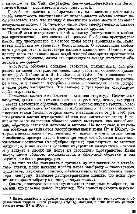 Первый этап поступления солей в клетку (поступление в свободное пространство) — зто пассивный процесс. Свободное пространство клетки это пространство, в которое ионы могут пропикать пассивно, путем диффузии по градиенту концентрации. О локализации свободного пространства в литературе единого мнепня нет. По-видимому, прежде всего это заполненные водой межфибриллярные пространства в клеточной оболочке, затем это промежутки между клеточной оболочкой и мембраной.