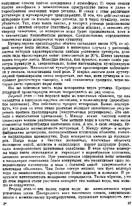 Все же осповпая часть воды испаряется через устьица. Процесс устьичной трапспирации можно подразделить па ряд этапов.