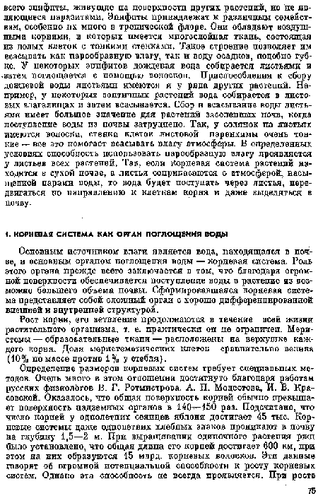 Рост корня, его ветвление продолжаются в течение всей жизни растительного организма, т. е. практически оя пе ограпичеп. Меристемы — образовательные ткапн — расположены на верхушке каждого корня. Доля ыериетематических клеток сравнительно велика (10% по массе против 1 % у стебля).