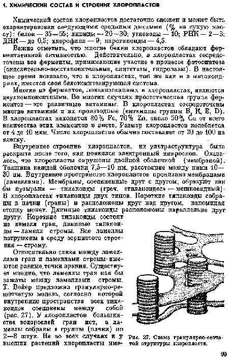 Многие из ферментов, локализованных в хлоропластах, являются двухкомпонентными. Во многих случаях ггростетическая группа ферментов— это различные витамины. В хлоропластах сосредоточены многие витамины н их производные (витамины группы В, К, Б, О). В хлоропластах находится 80% Ре, 70% 2п, около 50% Си от всего количества этих элементов в листе. Размер хлоропластов колеблется от 4 до 10 мкм. Число хлоропластов обычно составляет от 20 до 100 на клетку.