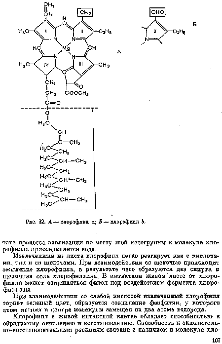 При взаимодействии со слабой кислотой извлеченный хлорофилл теряет зеленый цвет, образуется соединение феофитин, у которого атом магния в центре молекулы замещеп па два атома водорода.