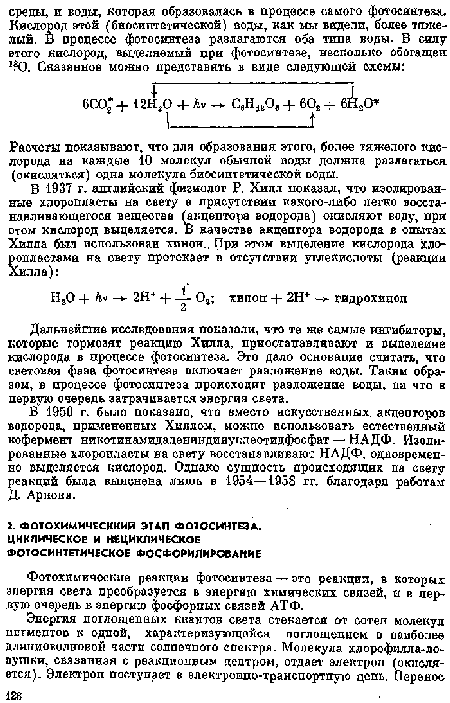 Дальнейшие исследования показали, что те же самые ингибиторы, которые тормозят реакцию Хилла, приостанавливают и выделение кислорода в процессе фотосинтеза. Это дало основание считать, что световая фаза фотосинтеза включает разложение воды. Таким образом, в процессе фотосинтеза происходит разложение воды, па что в первую очередь затрачивается энергия света.