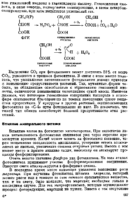 Влияние к алия на фотосинтез многосторонне. При недостатке калия интенсивность фотосинтеза снижается уже через короткие промежутки времени. Калнй может влиять на фотосинтез косвенно, через повышение оводненности цитоплазмы, ускорение оттока ассими-лятов из листьев, увеличение степени открытия устьиц. Вместе с тем имеет место и прямое влияние калия, поскольку он активирует процессы фосфоршгарования.