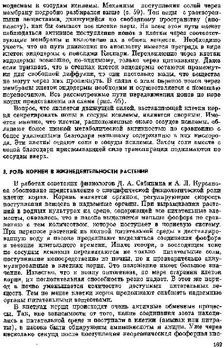 В работах советских физиологов Д. А. Сабинина и А. Л. Курсано-еа обосновано представление о специфической физиологической роли клеток корня. Корень является органом, регулирующим скорость поступления веществ в надземные органы. При выращивании растений в водпых культурах на среде, содержащей все питательные элементы, оказалось, что в пасоке выделяется меньше фосфора по сравнению с тем количеством, которое поступает в корневую систему. При переносе растений из полной питательной среды в дистиллированную воду в пасоке продолжают выделяться соединения фосфора в течение длительного времени. Иначе говоря, в восходящем токе по сосудам ксилемы передвигаются не только питательные соли, поступившие непосредственно из почвы, но и предварительно аккумулированные в клетках корня. Это положение имеет большое значение. Известно, что к концу онтогенеза, по мере старения илеток корня, их поглотительная способность резко падает. В этот же период в почве уменьшается количество доступных питательных веществ. Тем пе мепее клетки корпя продолжают снабжать надземные органы питательными веществами.