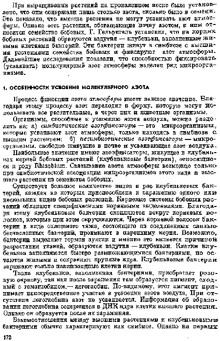 Ткань клубеньков, заполненная бактериями, приобретает розовую окраску, так как после заражения там образуется пигмент, сходный с гемоглобином,— легоглобин. По-видимому, этот пигмент принимает непосредственное участие в усвоении азота воздуха. При отсутствии легоглобипа азот не усваивается. Информация об образовании легоглобина содержится в ДНК ядра клетки высшего растения. Однако он образуется после их заражения.