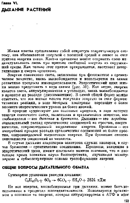 Энергия солнечного света, запасенная при фотосинтезе в органическом веществе, вновь высвобождается и используется на самые различные процессы жизнедеятельности. Энергетический цикл жизни можно представить в виде схемы (рис. 50). Как видно, энергия квантов света, аккумулированная в углеводах, вновь высвобождается в процессе их распада (диссимиляции). В самой общей форме можно отметить, что все живые клетки получают анергию за счет ферментативных реакций, в ходе которых электроны переходят с более высокого энергетического уровня на более низкий.