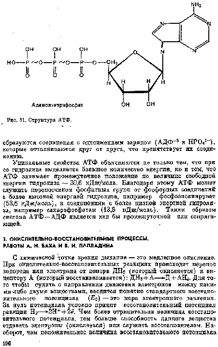 Структура АТФ.