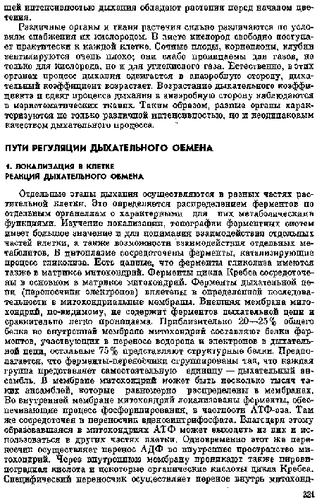 Различные органы и ткани растения сильно различаются по условиям снабжения их кислородом. В листе кислород свободно поступает практически к каждой клетке. Сочные плоды, корнеплоды, клубни вентилируются очень плохо; они слабо проницаемы для газов, не только для кислорода, но и для углекислого газа. Естественно, в этих органах процесс дыхания сдвигается в анаэробную сторону, дыхательный коэффициент возрастает. Возрастание дыхательного коэффициента и сдвиг процесса дыхания в анаэробную сторону наблюдаются в меристематических тканях. Таким образом, разные органы характеризуются не только различной интенсивностью, но и неодинаковым качеством дыхательного процесса.