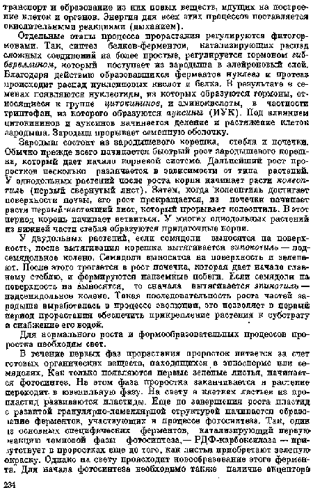 Для нормального роста и формообразовательных процессов проростка необходим свет.