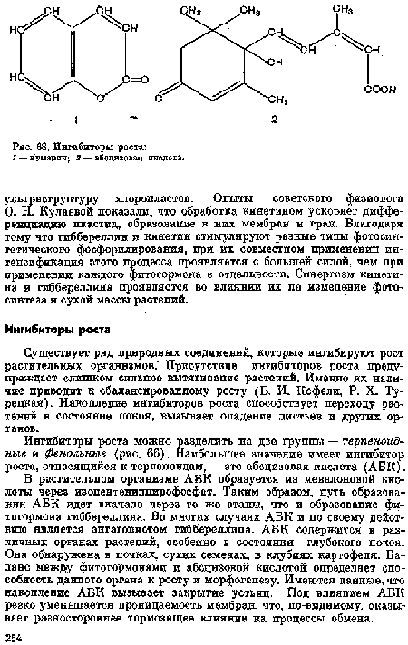 Существует ряд природных соединений, которые ингибируют рост растительных организмов. Присутствие ингибиторов роста предупреждает слишком сильное вытягивание растений. Именно их наличие приводит к сбалансированному росту (Б. И. Кефели, Р. X. Турецкая). Накопление ингибиторов роста способствует переходу рао-теннй в состояние покоя, вызывает опадение листьев и других органов.