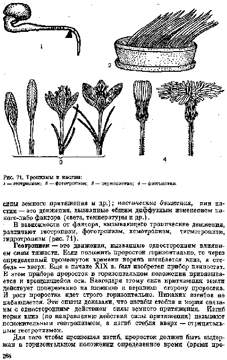 В зависимости от фактора, вызывающего тропические движения, различают геотропизм, фототропизм, хемотропизм, тигмотропизм, гидротропизм (рис. 71).