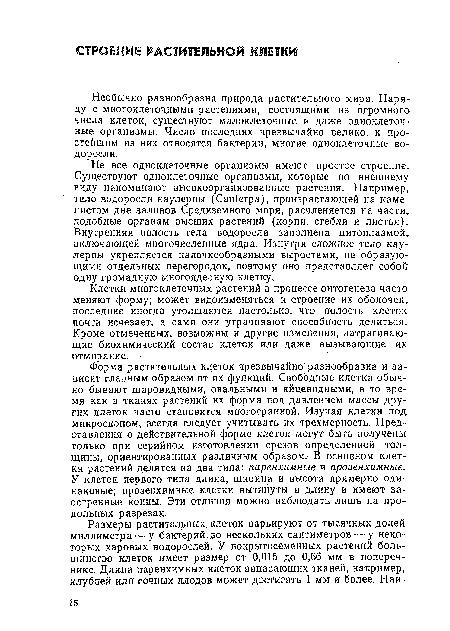 Не все одноклеточные организмы имеют простое строение. Существуют одноклеточные организмы, которые по внешнему виду напоминают высокоорганизованные растения. Например, тело водоросли каулерпы (Caulerpa), произрастающей на каменистом дне заливов Средиземного моря, расчленяется на части, подобные органам высших растений (корни, стебли и листья). Внутренняя полость тела водоросли заполнена цитоплазмой, включающей многочисленные ядра. Изнутри сложное тело каулерпы укрепляется палочкообразными выростами, не образующими отдельных перегородок, поэтому оно представляет собой одну громадную многоядерную клетку.