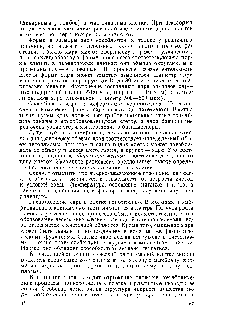 Существует закономерность, согласно которой в живых клетках определенному объему ядра соответствует определенный объем цитоплазмы; при этом в одних видах клеток может преобладать по объему и массе цитоплазма, в других — ядро. Это соотношение, названное ядерно-плазменным, постоянно для данного типа клеток. Указанное равновесие предполагает также определенное соотношение химических веществ в клетке.