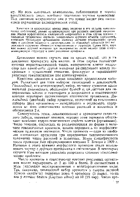 Хромосомы можно изучать как на срезах тканей, так и иа давленных препаратах или мазках. В этом случае тончайшие кусочки меристематической ткани, материнские клетки микроспор или какой-либо другой материал раздавливают между покровным и предметным стеклами, фиксируют и окрашивают уксусным гематоксилином или ацетокармином.