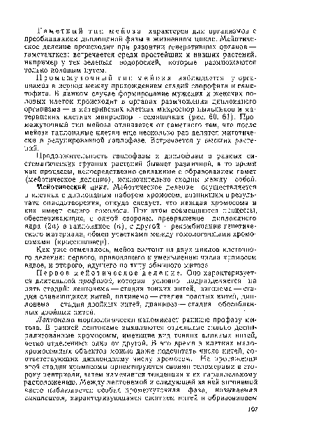 Промежуточный тип мейоза наблюдается у организмов в период между прохождением стадий спорофита и гаме-тофита. В данном случае формирование мужских и женских половых клеток происходит в органах размножения диплоидного организма — в материнских клетках микроспор пыльников и материнских клетках макроспор — семяпочках (рис. 60, 61). Промежуточный тип мейоза отличается от гаметного тем, что после мейоза гаплоидные клетки еще несколько раз делятся митотиче-ски в редуцированной гаплофазе. Встречается у высших растений.