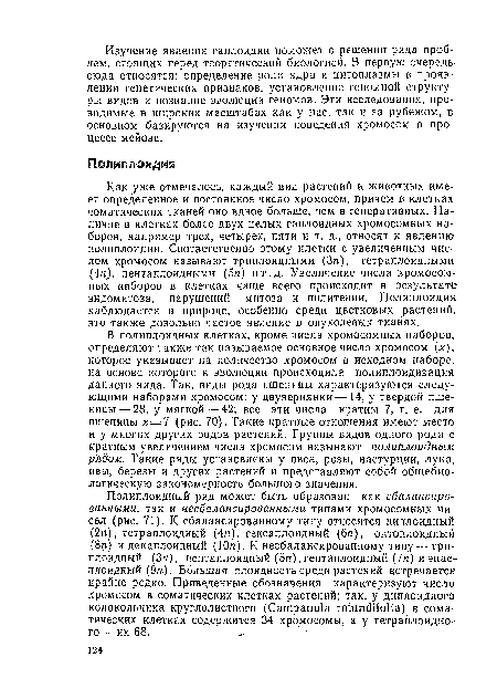 В полиплоидных клетках, кроме числа хромосомных наборов, определяют также так называемое основное число хромосом (х), которое указывает на количество хромосом в исходном наборе, на основе которого в эволюции происходила полиплоидизация данного вида. Так, виды рода пшеницы характеризуются следующими наборами хромосом: у двузернянки— 14, у твердой пшеницы— 28, у мягкой — 42; все эти числа кратны 7, т. е. для пшеницы х = 7 (рис. 70). Такие кратные отношения имеют место и у многих других родов растений. Группы видов одного рода с кратным увеличением числа хромосом называют полиплоидным рядом. Такие ряды установлены у овса, розы, настурции, лука, ивы, березы и других растений и представляют собой общебиологическую закономерность большого значения.