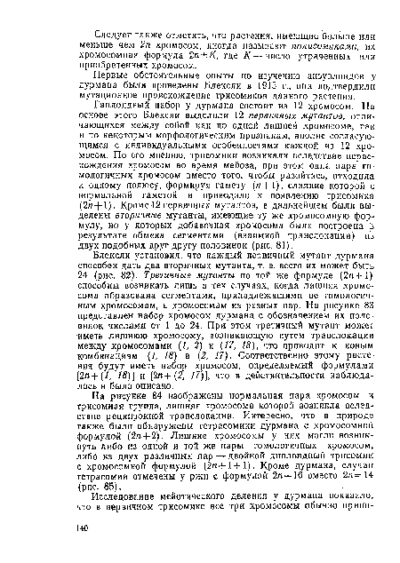 Блексли установил, что каждый первичный мутант дурмана способен дать два вторичных мутанта, т. е. всего их может быть 24 (рис. 82). Третичные мутанты по той же формуле (2л+1) способны возникать лишь в тех случаях, когда лишняя хромосома образована сегментами, принадлежащими не гомологичным хромосомам, а хромосомам из разных пар. На рисунке 83 представлен набор хромосом дурмана с обозначением их половинок числами от 1 до 24. При этом третичный мутант может иметь лишнюю хромосому, возникающую путем транслокации между хромосомами (1, 2) и (17, 18), что приводит к новым комбинациям (1, 18) и (2, 17). Соответственно этому растения будут иметь набор хромосом, определяемый формулами [2я+ (1, /5)] и [2п+(2, 17)], что в действительности наблюдалось и было описано.