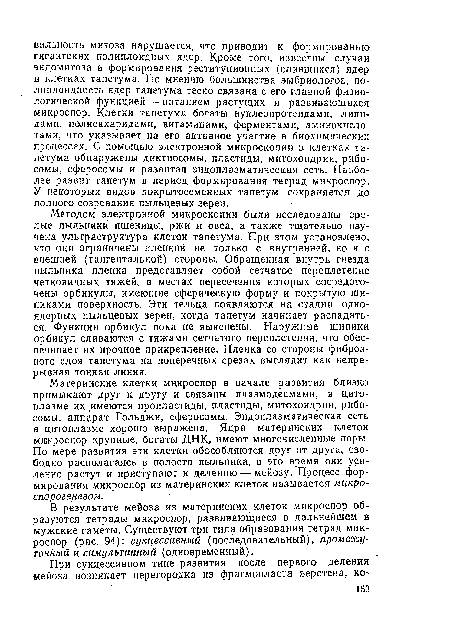 В результате мейоза из материнских клеток микроспор образуются тетрады микроспор, развивающиеся в дальнейшем в мужские гаметы. Существуют три типа образования тетрад микроспор (рис. 94): сукцессивный (последовательный), промежуточный и симультанный (одновременный).