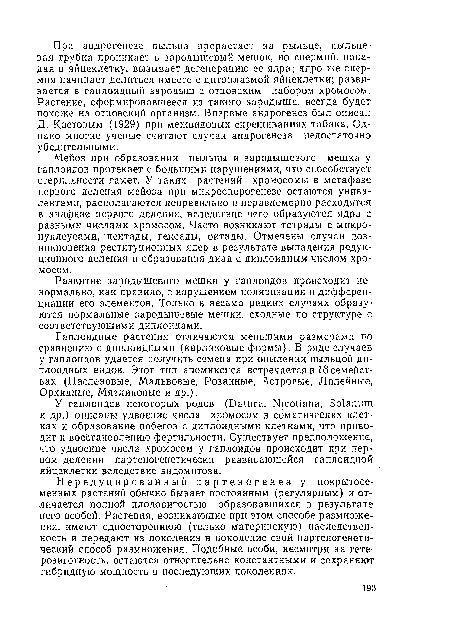 Мейоз при образовании пыльцы и зародышевого мешка у гаплоидов протекает с большими нарушениями, что способствует стерильности гамет. У таких растений хромосомы в метафазе первого деления мейоза при микроспорогенезе остаются унива-лентами, располагаются неправильно и неравномерно расходятся в анафазе первого деления, вследствие чего образуются ядра с разными числами хромосом. Часто возникают тетрады с микронуклеусами, пентады, гексады, октады. Отмечены случаи возникновения реституционных ядер в результате выпадения редукционного деления и образования диад с диплоидным числом хромосом.