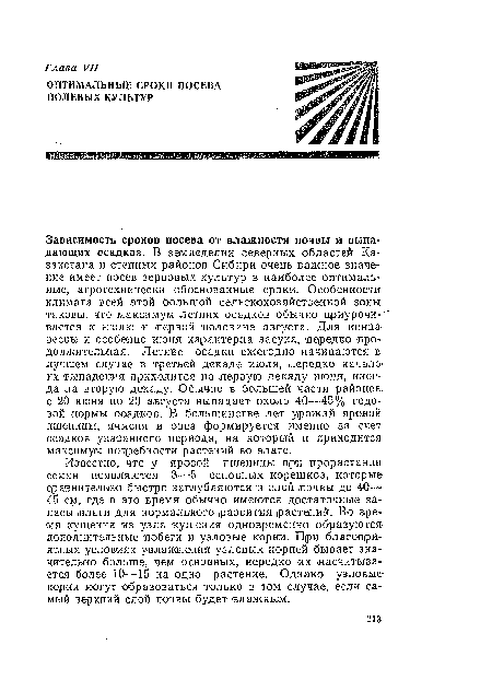 Известно, что у яровой пшеницы при прорастании семян появляются 3—5 основных корешков, которые-сравнительно быстро заглубляются -в слой почвы до 40— 45 см, где в это время обычно имеются достаточные запасы .влаги для нормального развития растений. Во время кущения из узла кущения одновременно образуются, дополнительные побеги и узловые корни. При благоприятных условиях увлажнения узловых корней бывает значительно больше, чем основных, нередко их насчитывается более 10—15 на одно растение. Однако узловые корни могут образоваться только в том случае, если самый верхний слой почвы будет влажным.